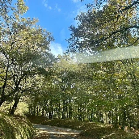 Casa Redonda Ourense